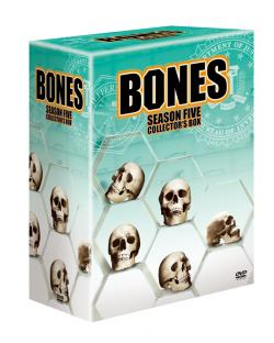 bones_box.jpg