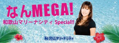 nanmega1.JPG