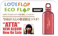 LOVE FLAP��eco�{�g��